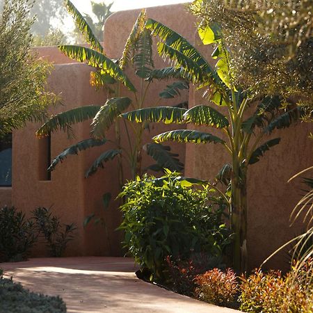 Oasis Lodges El Makina Exteriör bild